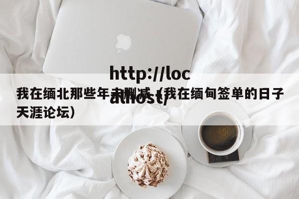 我在缅北那些年未删减(我在缅甸签单的日子天涯论坛)